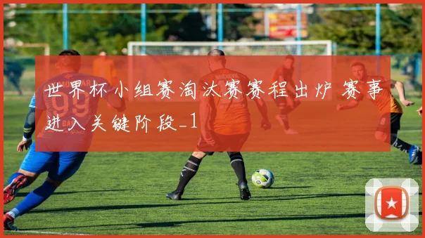 世界杯小组赛淘汰赛赛程出炉 赛事进入关键阶段_1