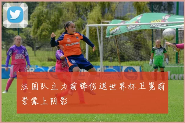 法国队主力前锋伤退世界杯卫冕前景蒙上阴影