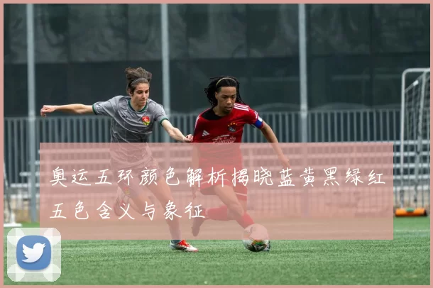 奥运五环颜色解析揭晓蓝黄黑绿红五色含义与象征
